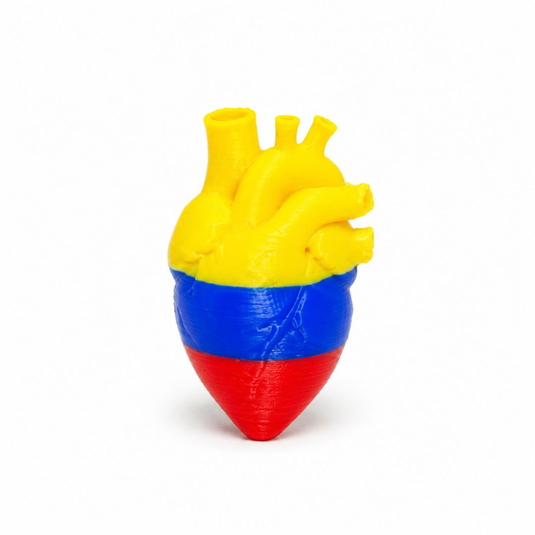 Dije Corazon Anatomico Colombia