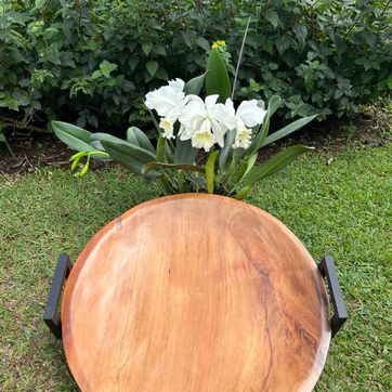 BATEA/BANDEJA REDONDA  - imagen 4