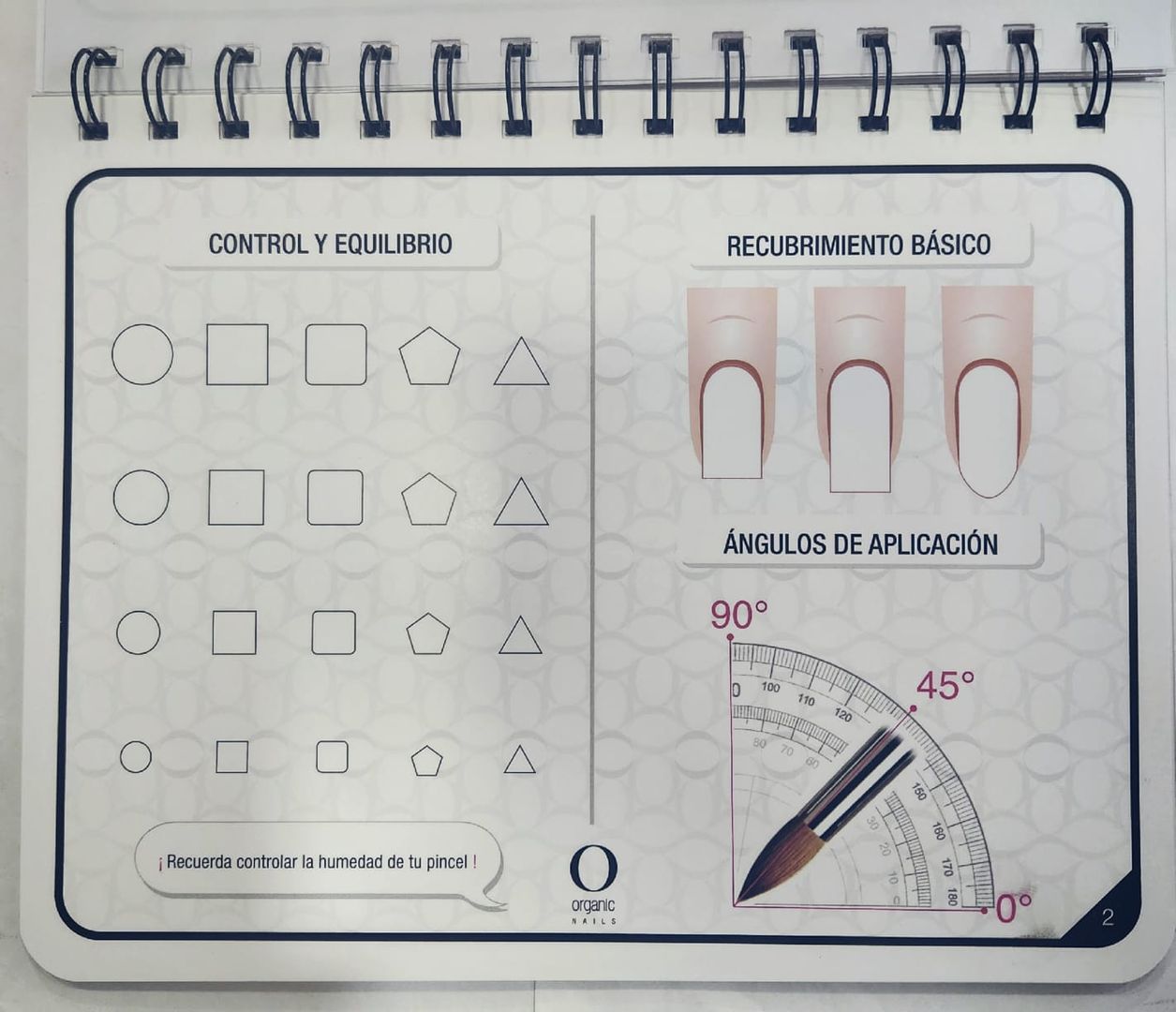 GUIA PRACTICA DE APRENDIZAJE