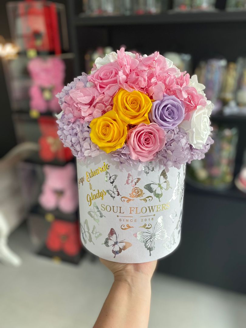 BOX GARDEN PRESERVADA