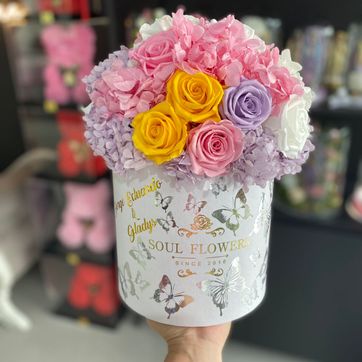 BOX GARDEN PRESERVADA - imagen 1