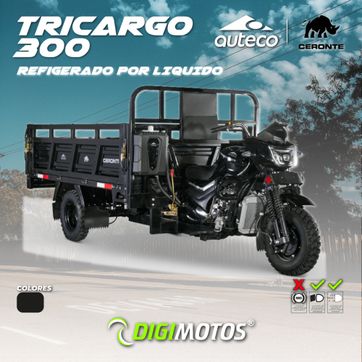 MOTOCARRO CERONTE TRICARGO 300 Gasolina - imagen 1