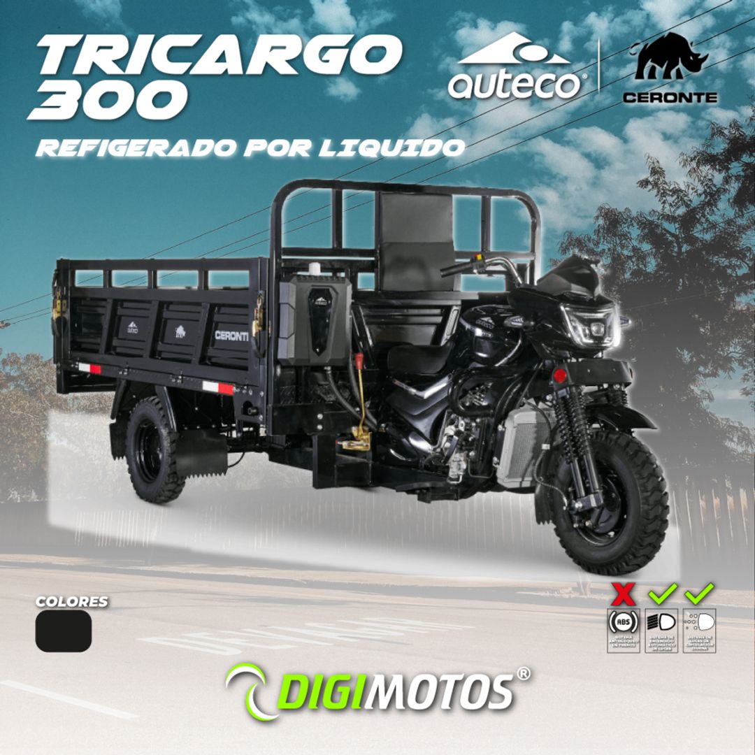 MOTOCARRO CERONTE TRICARGO 300 Gasolina