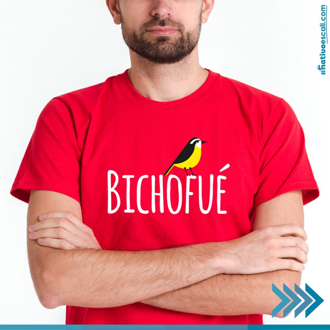 Bichofué