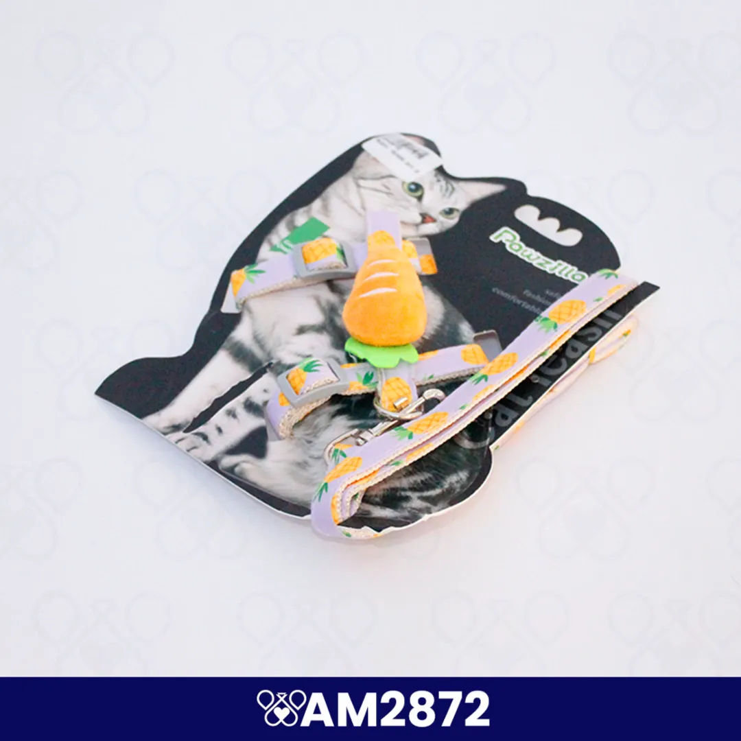AM2872