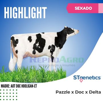 HIGHLIGHT SEXADO - imagen 1