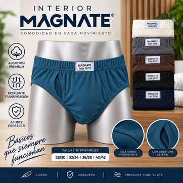 Imagen del producto INTERIOR MAGNATE (X3)