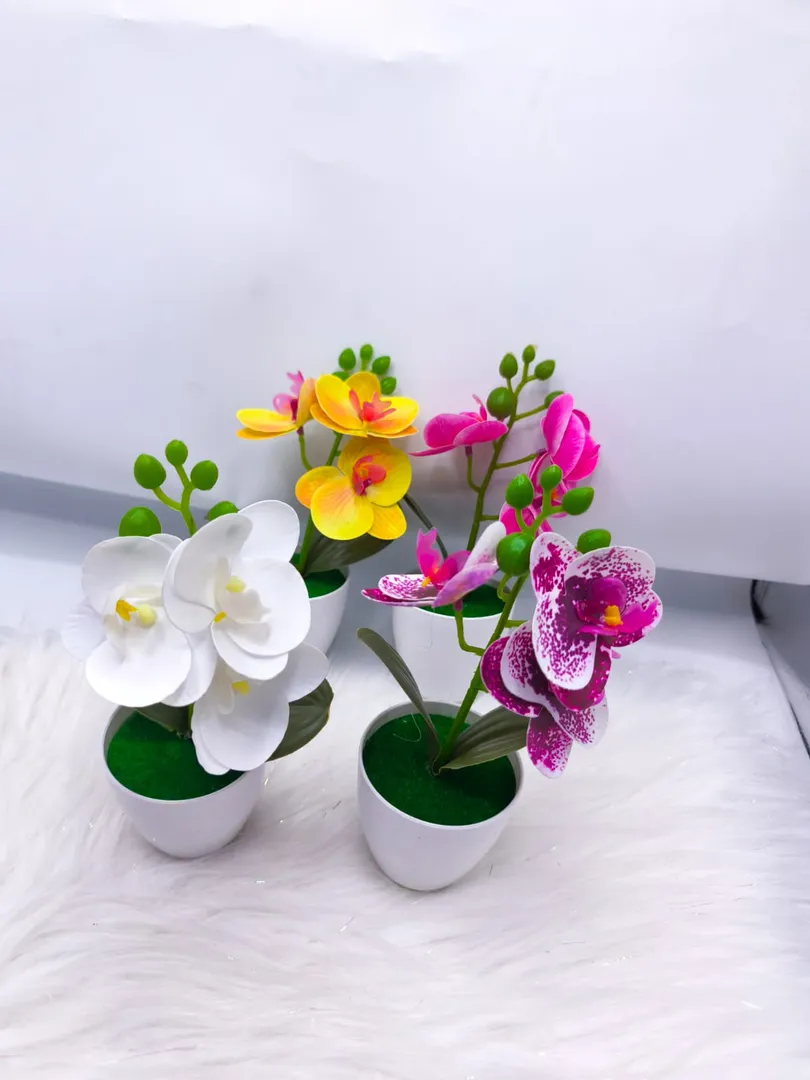 MATERO ORQUIDEA JM013