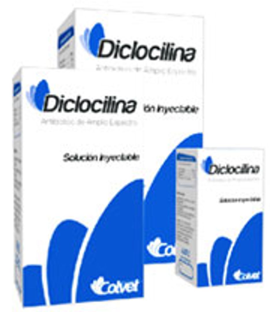 DICLOCILINA  x 50 ML