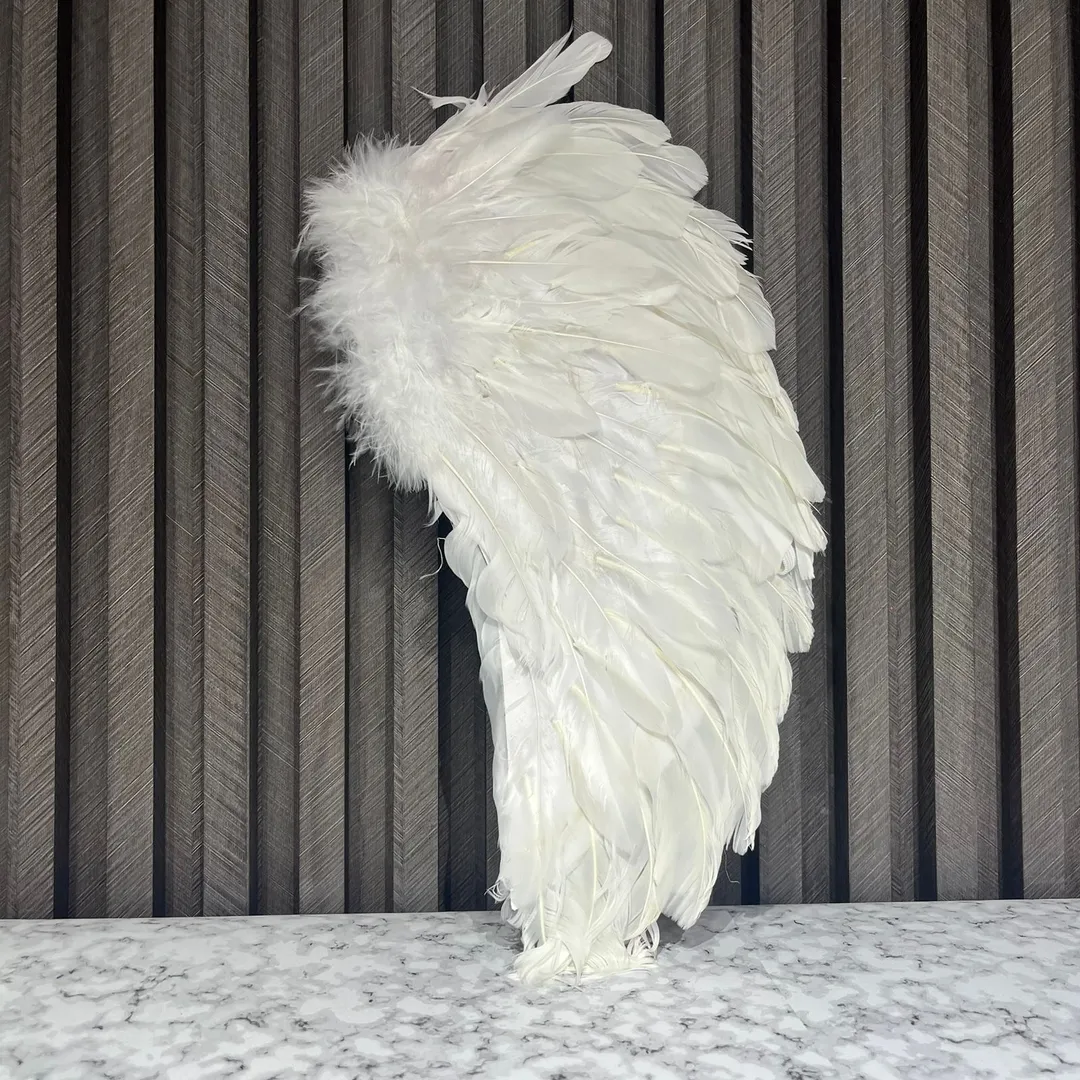 ALAS DE ANGEL CERRADA BLANCA