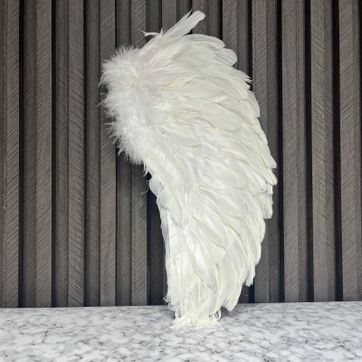 Imagen del producto ALAS DE ANGEL CERRADA BLANCA