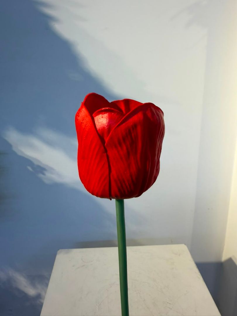 TULIPAN EN ESPUMADO ROJO