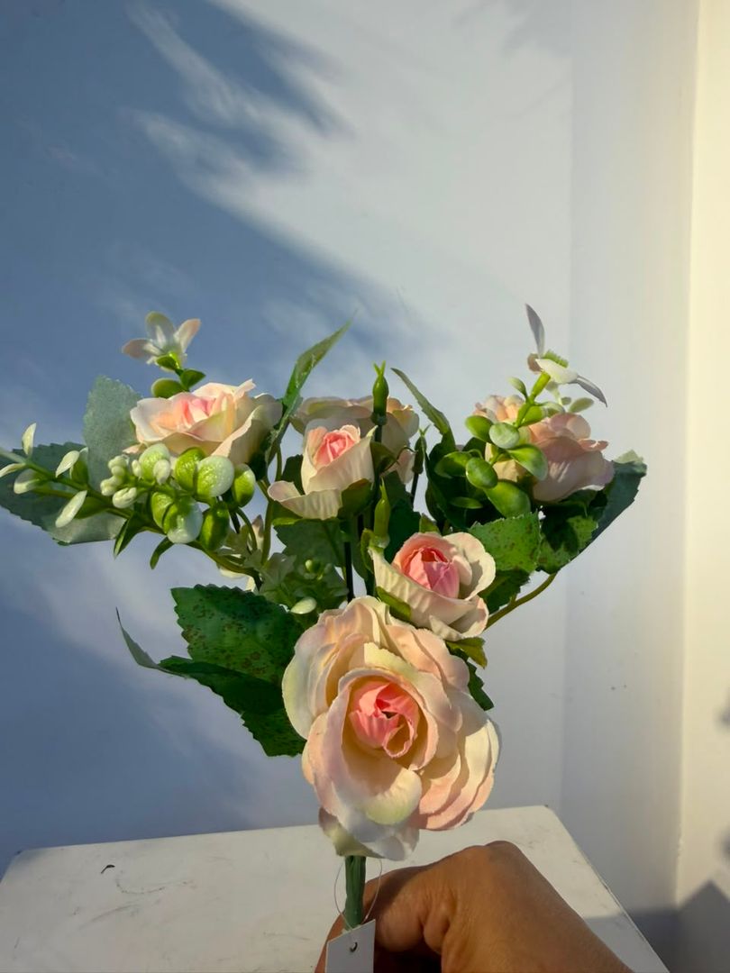 MINI ROSA CURUBA