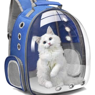 MALETA CAPSULA GATO Y PERRO  - imagen 1