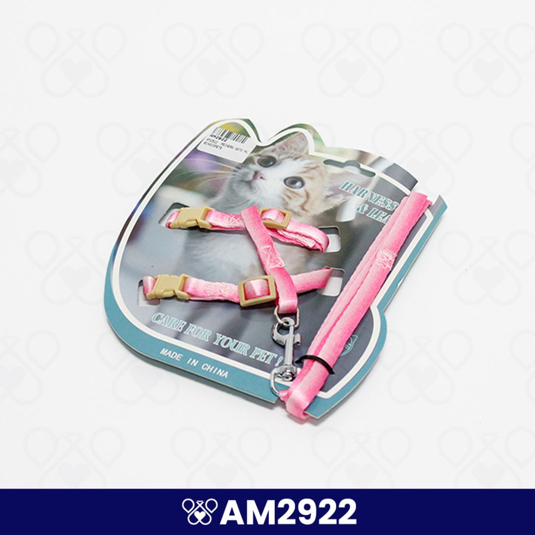 AM2922