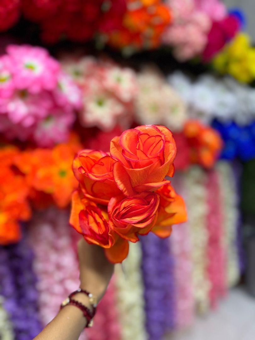 Rosa encanto 