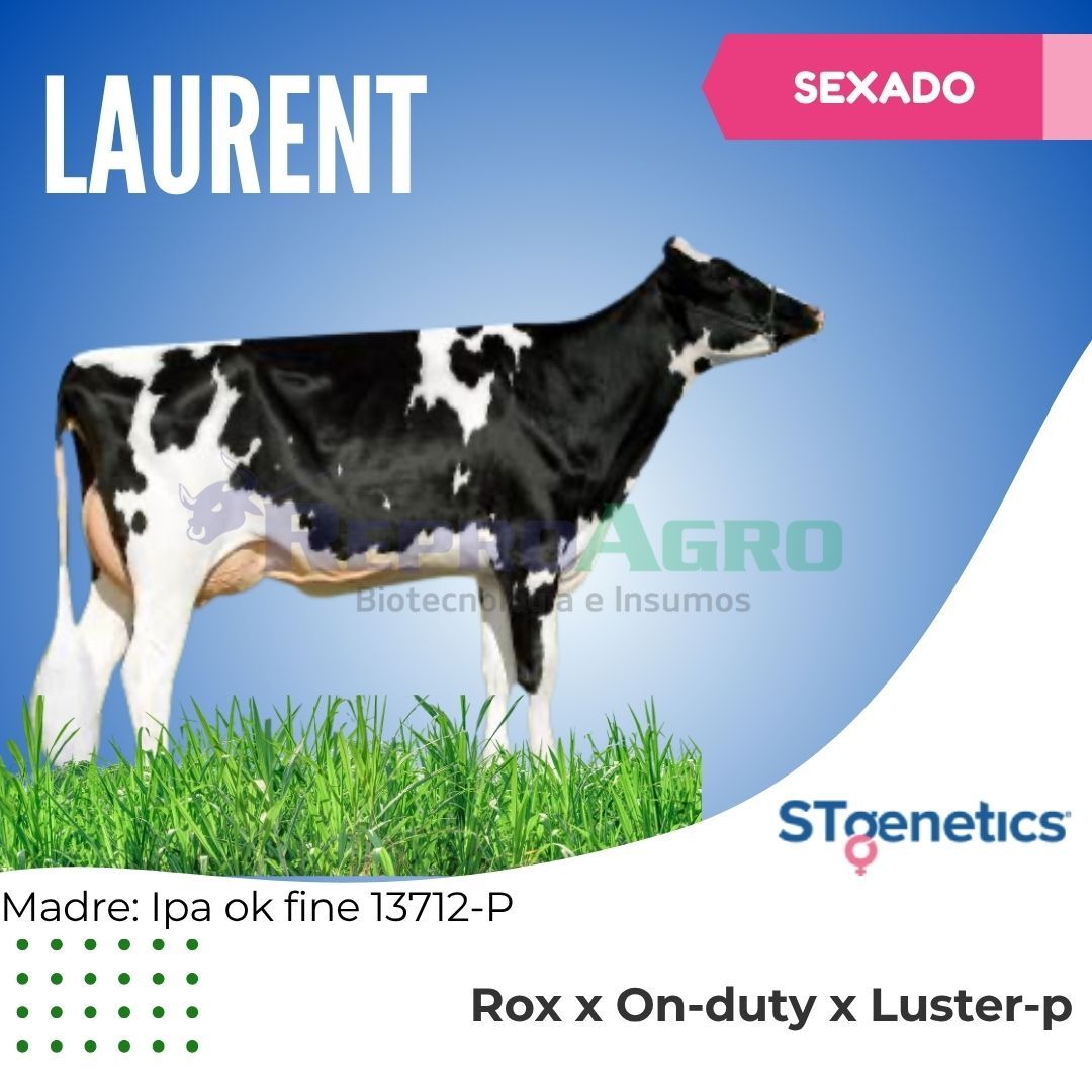 LAURENT SEXADO