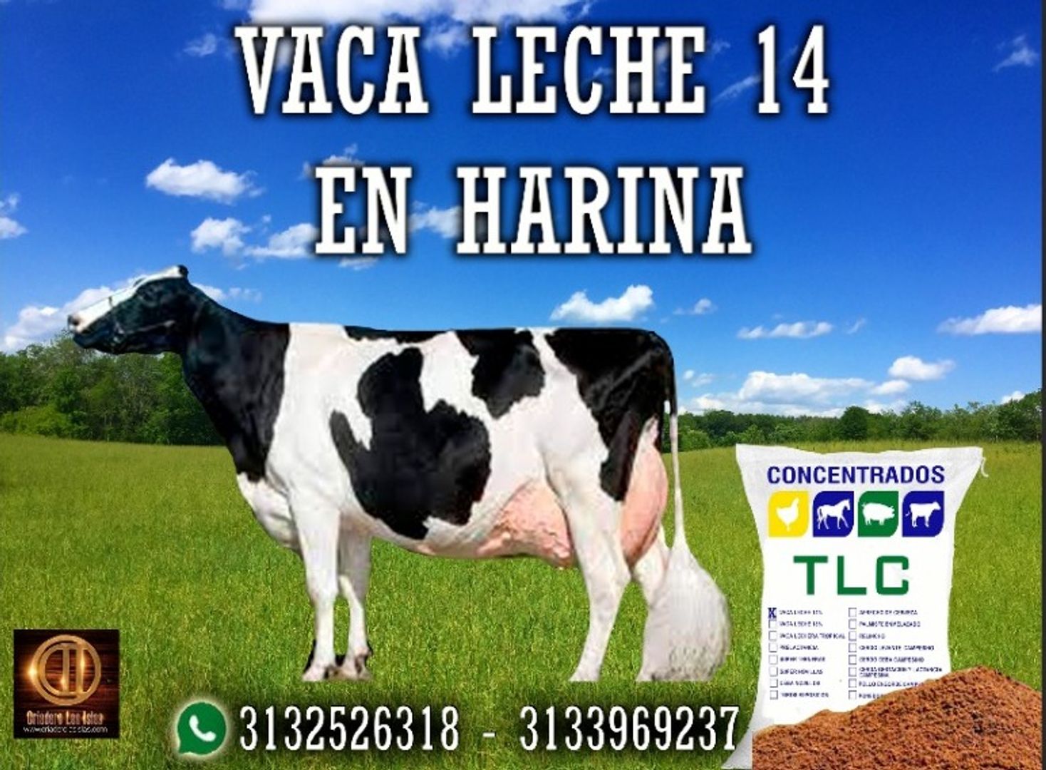 VACA LECHE 14 EN HARINA TLC 40 Kilos