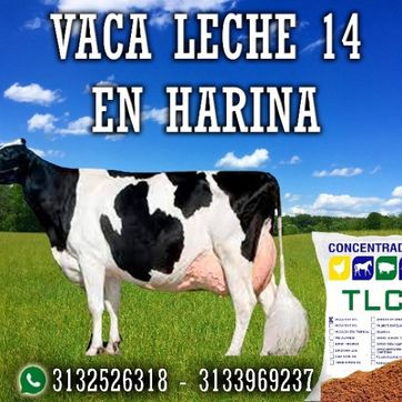 Imagen del producto VACA LECHE 14 EN HARINA TLC 40 Kilos