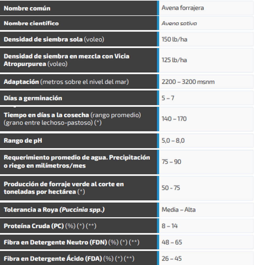 Avena Everleaf x Kilo