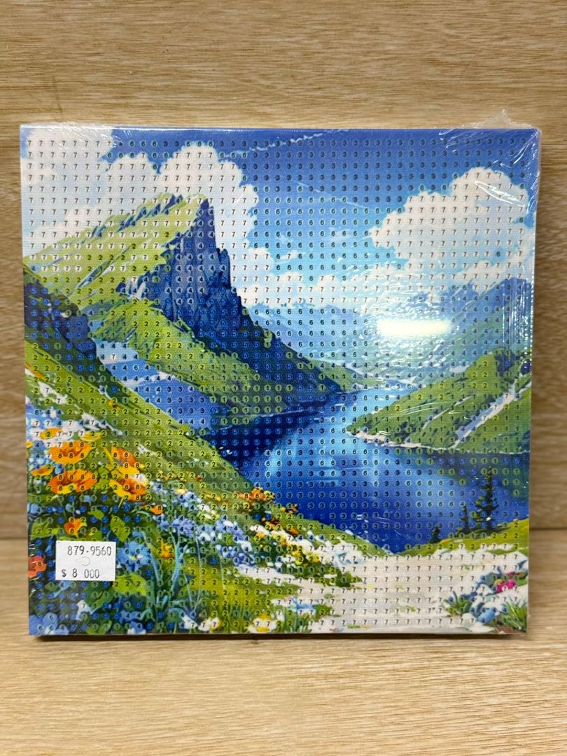 879 DIAMOND PAINTING 