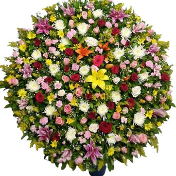 Imagen del producto Corona multicolor