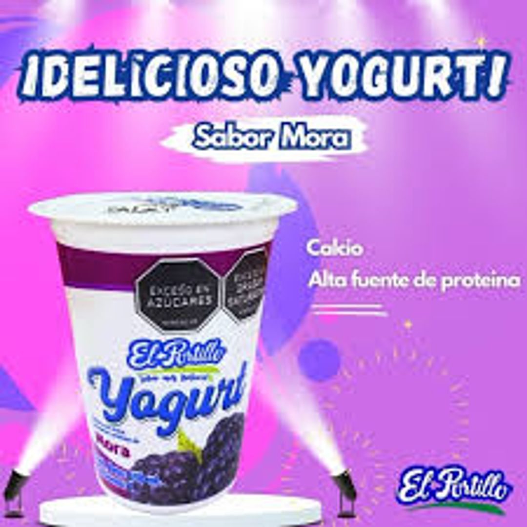 YOGURT DE MORA EL PORTILLO*240ML