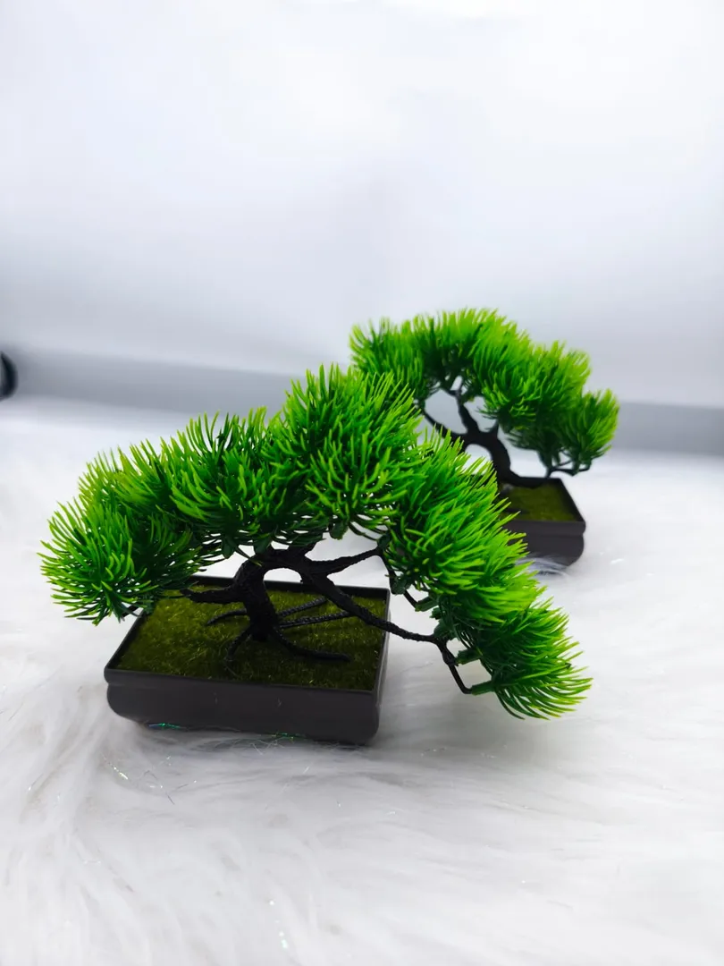 MATERO ARBOL JM006