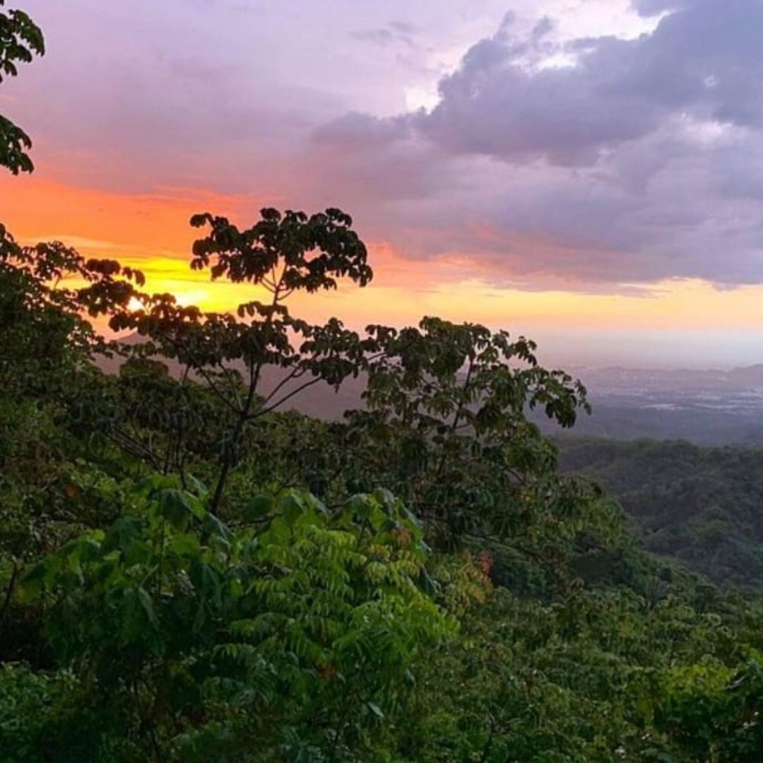 Tour de café y cacao ( Minca Sierra Nevada)
