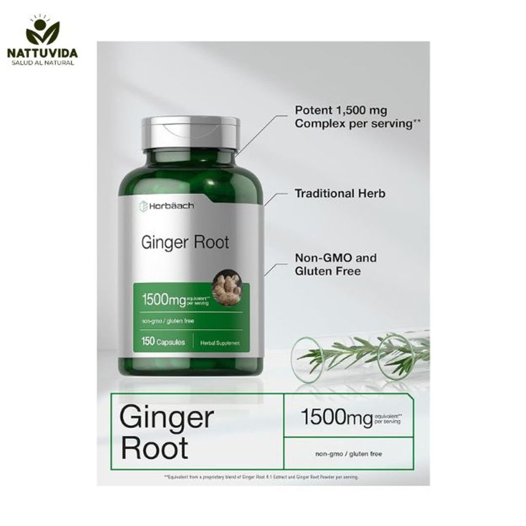 Raíz de Jengibre Ginger Root  1500 mg  150 pastillas