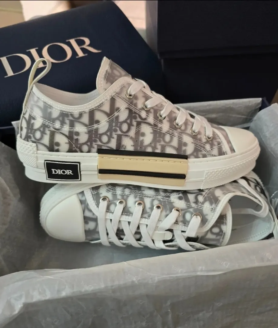 Dior b23 low top 