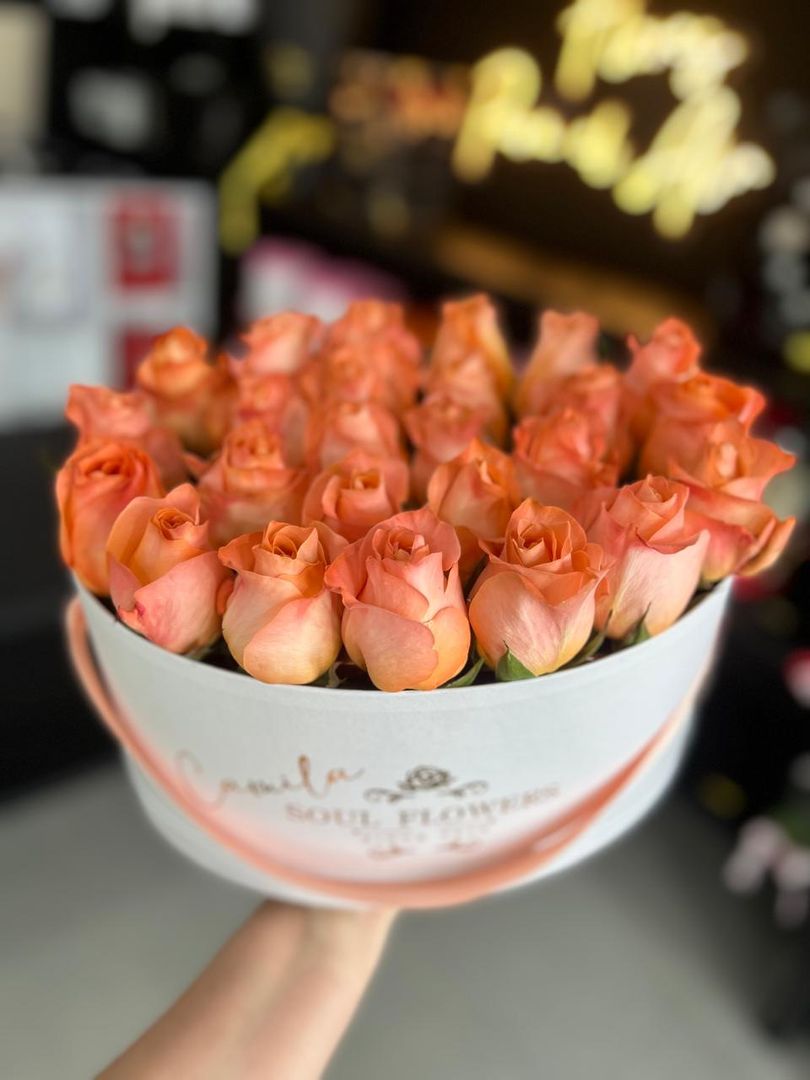 CAJA OVALADA FREESIA