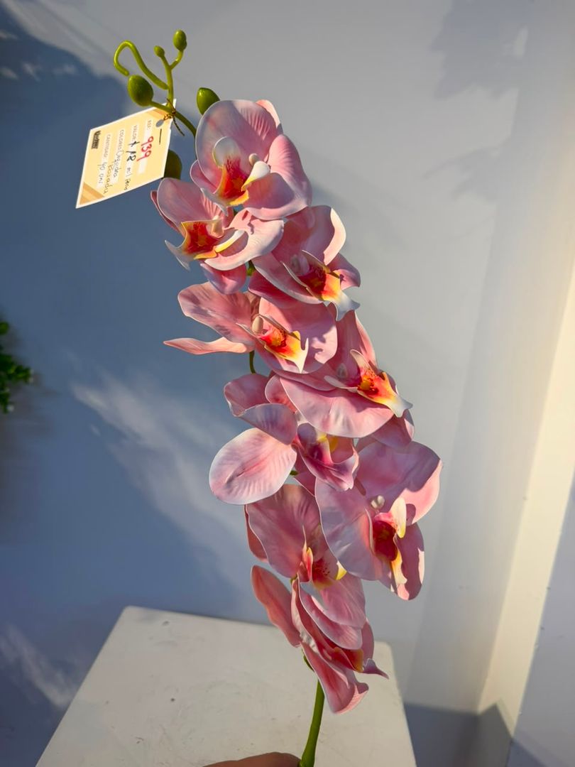 ORQUIDEA EN VARA X 9 ROSADA PASTEL