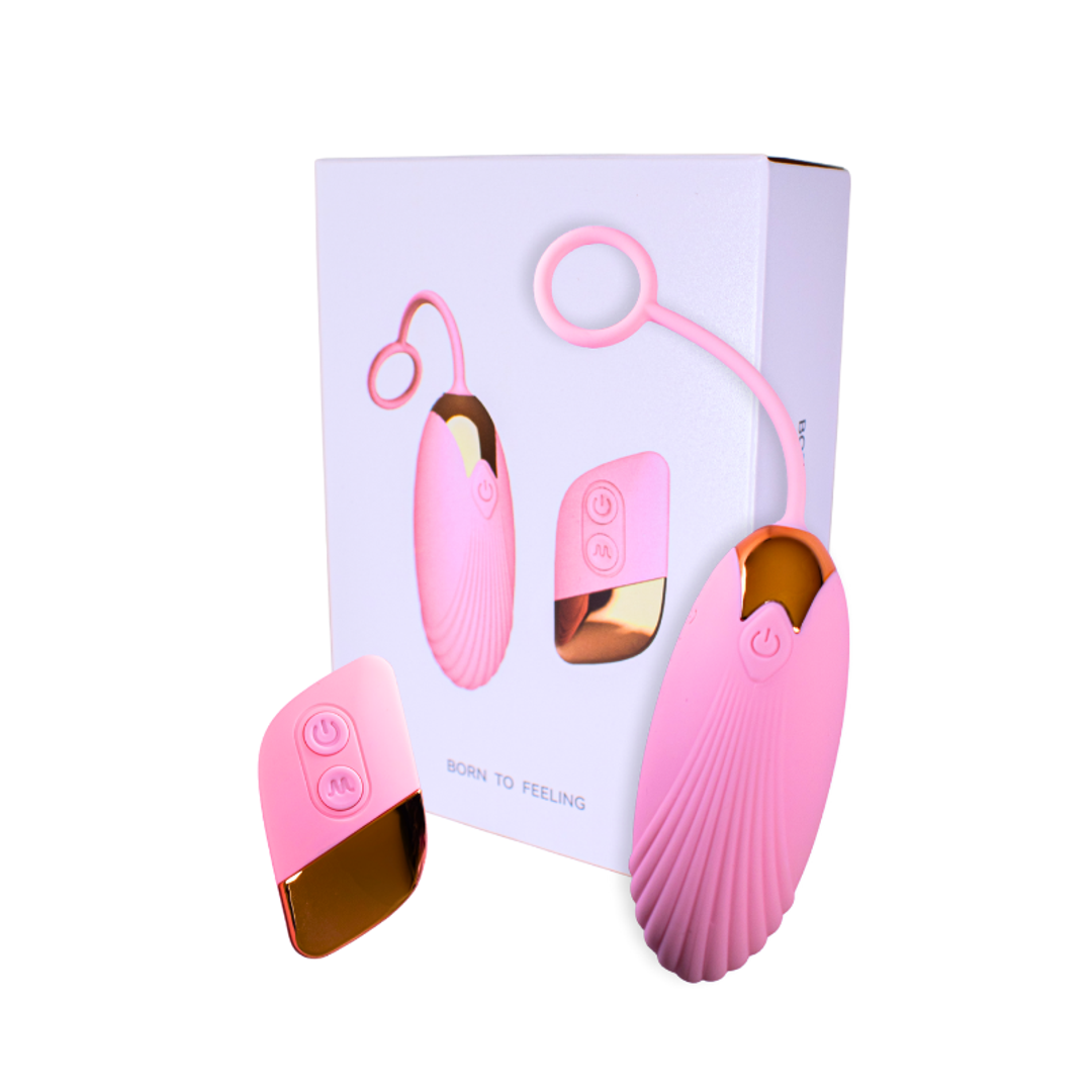 SG1793  HUEVO INALAMBRICO CONTROL