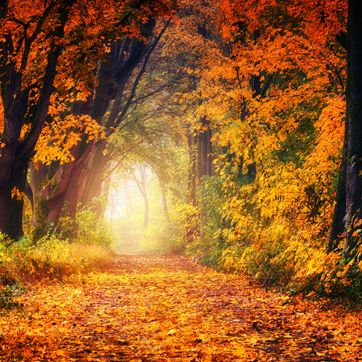 Imagen del producto PAISAJES DEL MUNDO 012