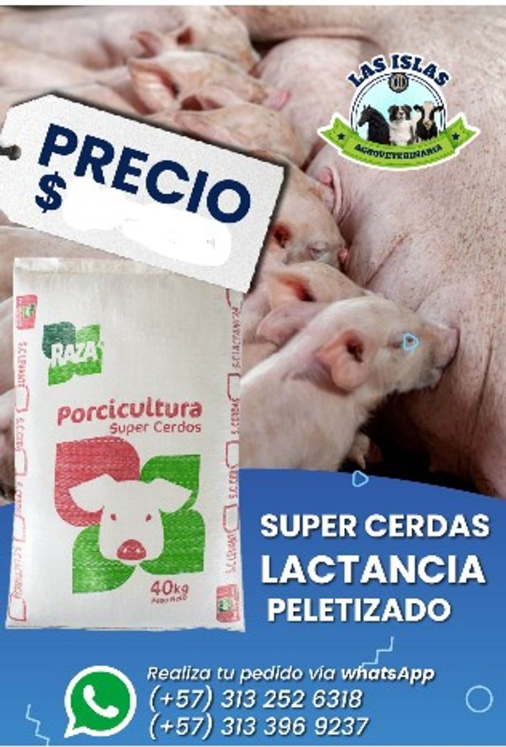 SUPER CERDAS LACTANCIA x 40 Kilos