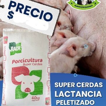 Imagen del producto SUPER CERDAS LACTANCIA x 40 Kilos