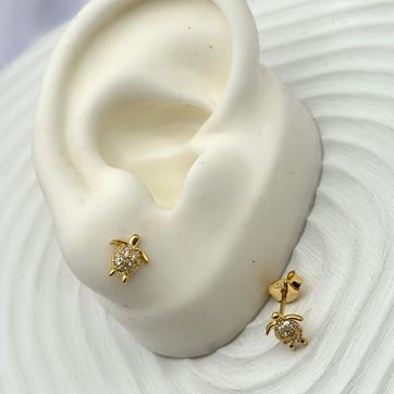 Imagen del producto Topo tortuga 