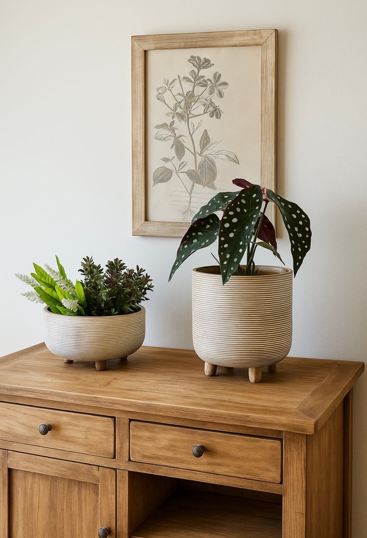 Cuenco/Maceta Madera