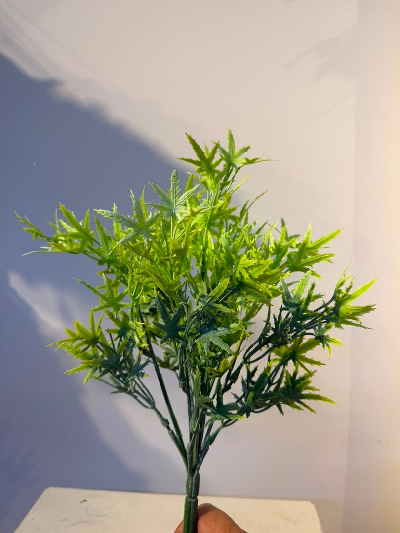 FOLLAJE MANITA VERDE