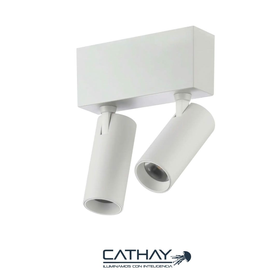 LUMINARIA LED TIPO CILINDRO DOBLE ECUALIZABLE