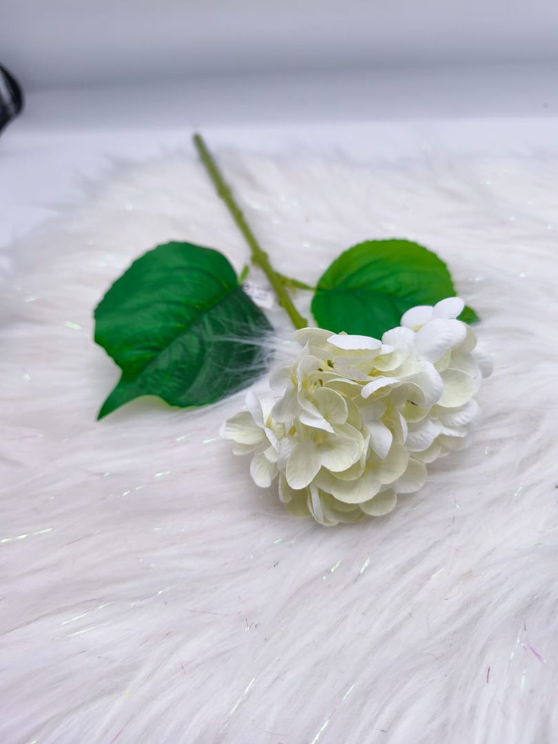 HORTENCIA INDIVIDUAL TG 663