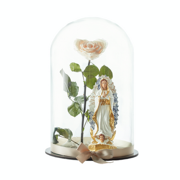 Imagen del producto VIRGEN XL