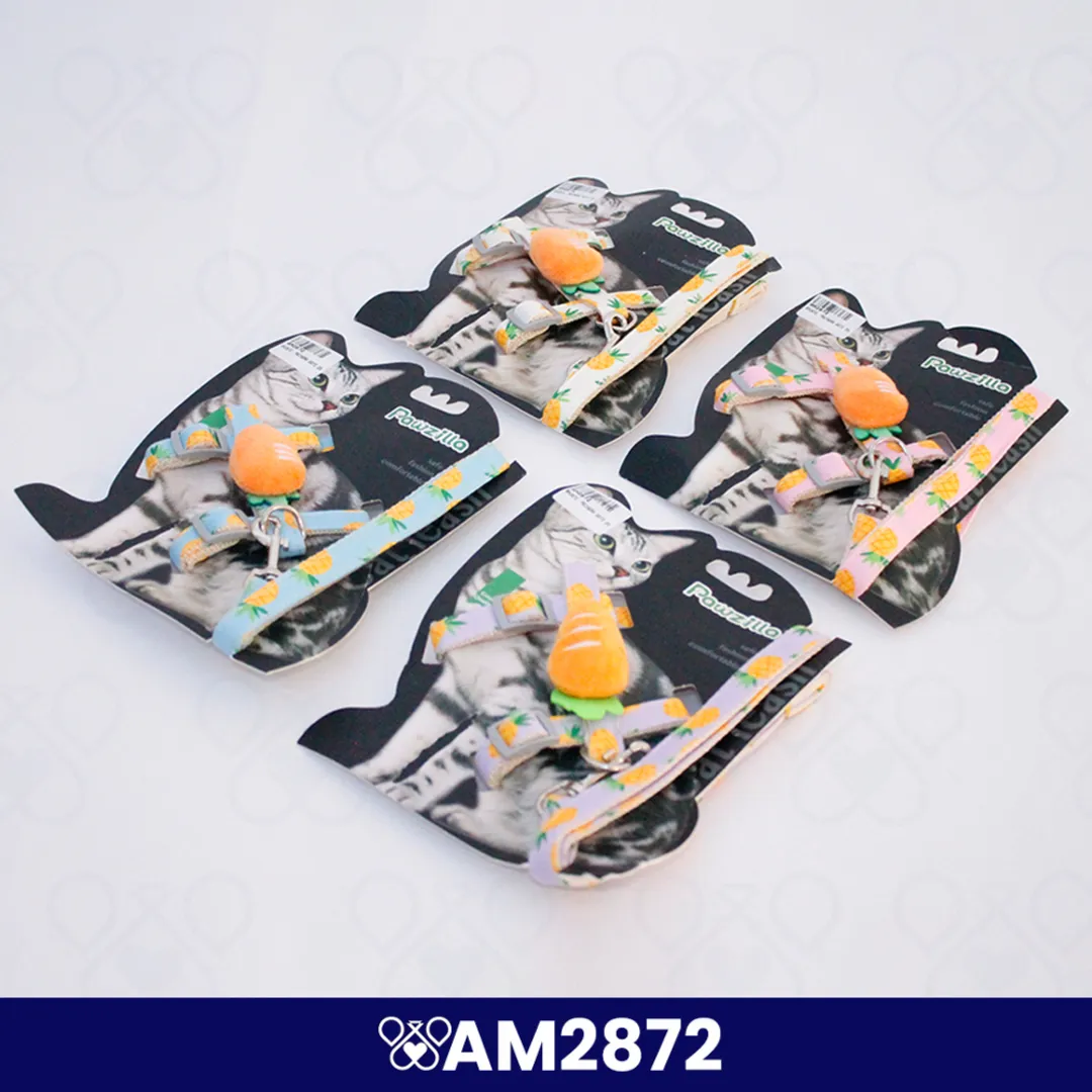 AM2872