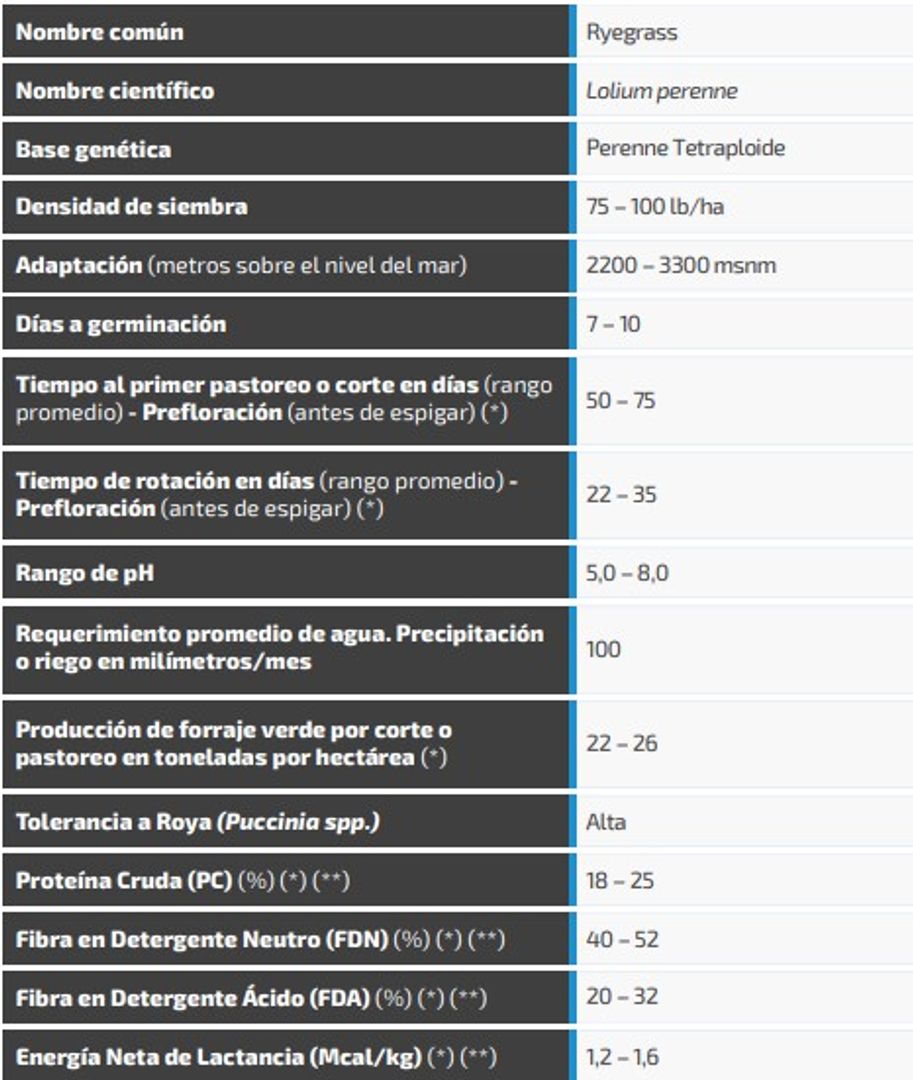 Ryegrass 4-Front (Perenne tetraploide) x Kilo AGOTADO