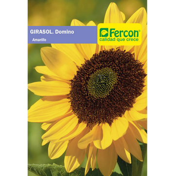 Imagen del producto GIRASOL
