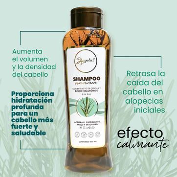 Shampoo con Romero Anyeluz - imagen 1