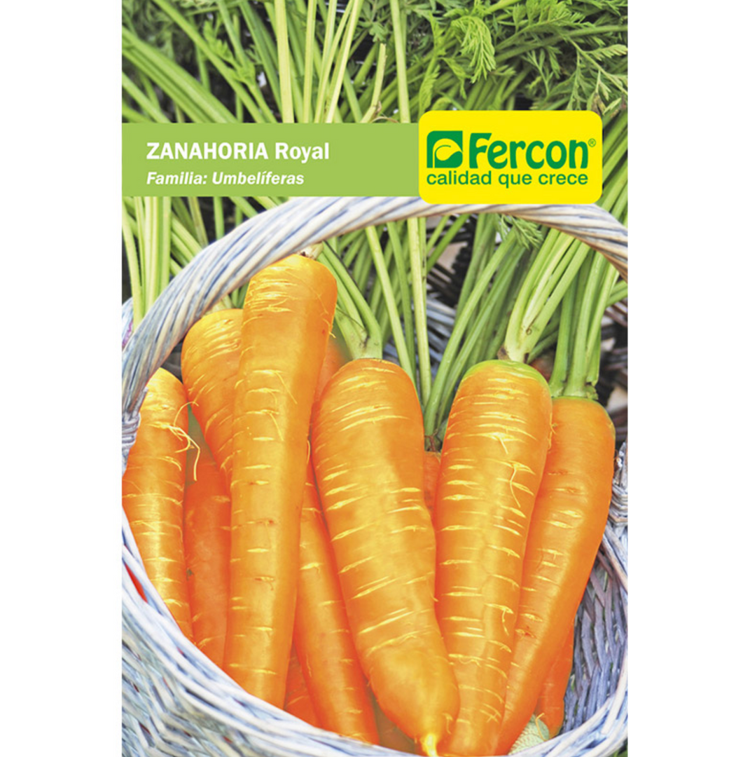 ZANAHORIA ROYAL