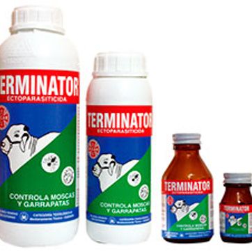 TERMINATOR - imagen 1