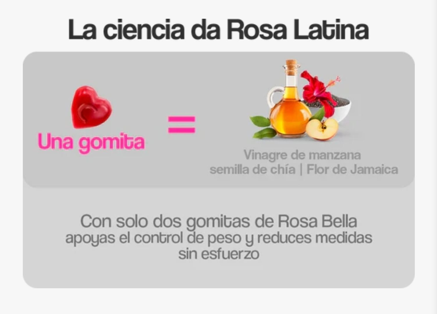 Rosa bella latina gomitas 